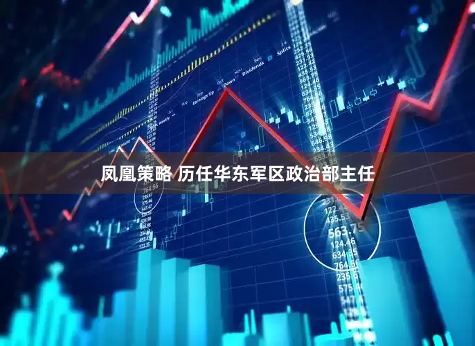 凤凰策略 历任华东军区政治部主任