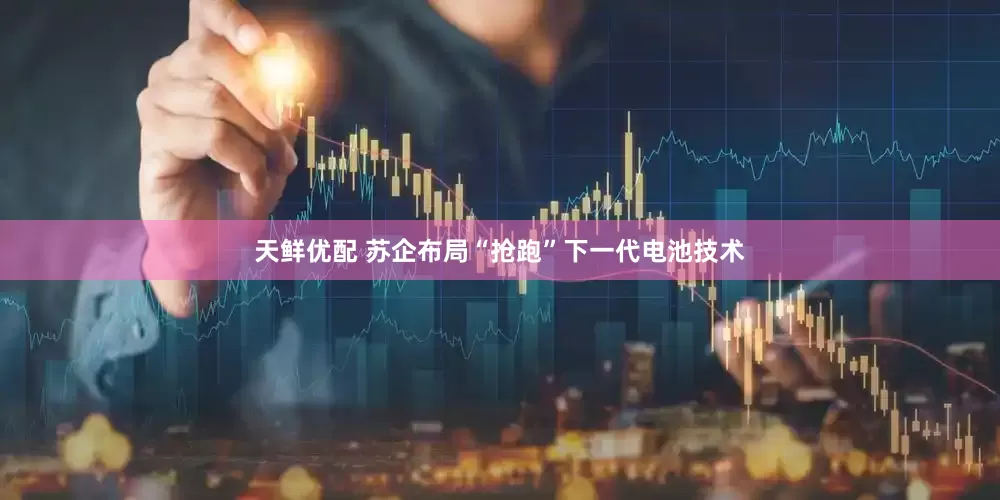 天鲜优配 苏企布局“抢跑”下一代电池技术