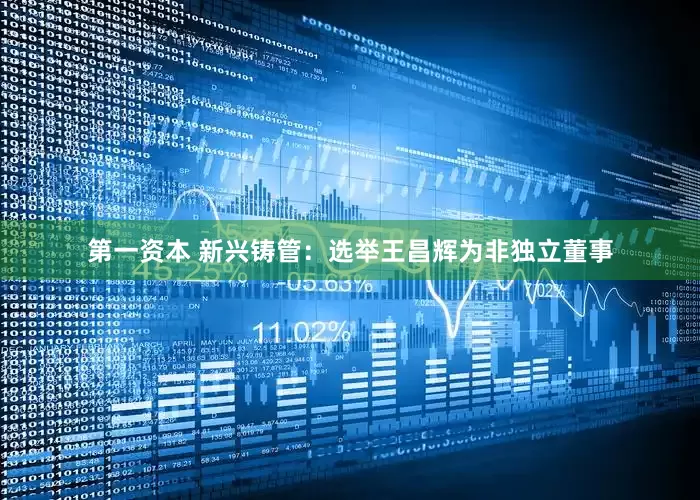 第一资本 新兴铸管：选举王昌辉为非独立董事